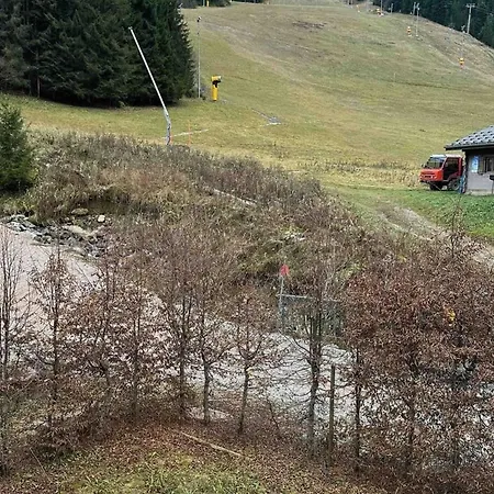 Spacieux 15 Pers, Jacuzzi, Parking, Animaux Admis - Fr-1-676-208 * Châtel